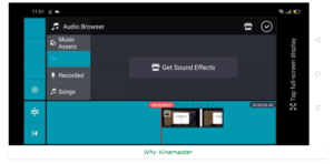 Export Video Formats