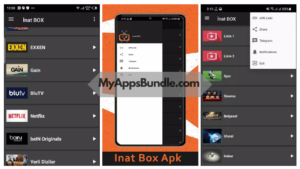 Screenshot of Inat Box APK