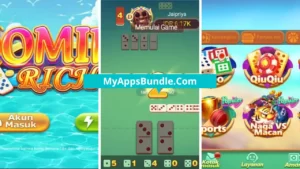 Domino Rich Apk Features